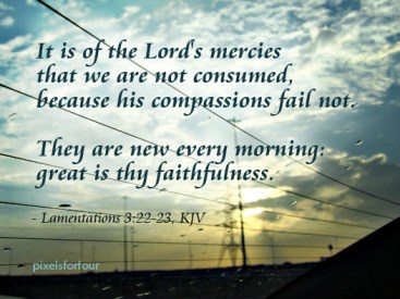 KJV Bible Verse on God's Faithfulness