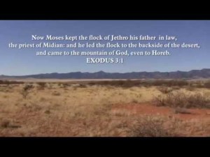 backside of the desert