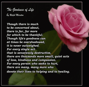 Goodness-of-life.jpg1