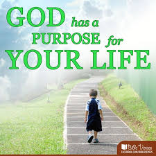 Gods purpose.jpg