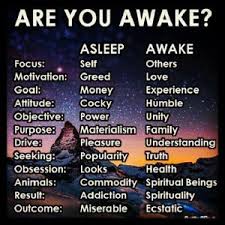 are you awake.jpg