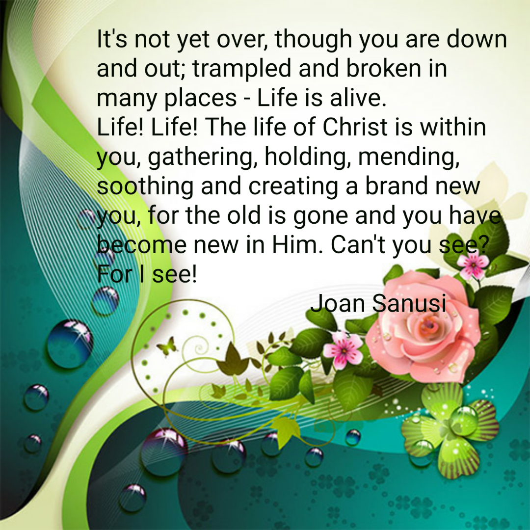 cf6994ee-2476-4e68-b50f-08d49d1dc9e3