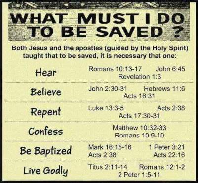 FB_IMG_1463138088792