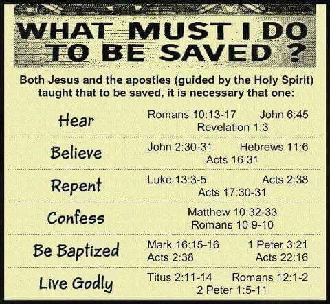 FB_IMG_1463138088792